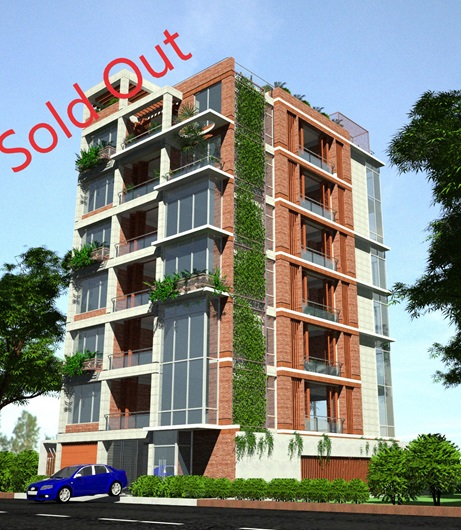 Image for Purba M DOHS 01